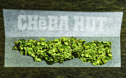 Cheba Hut gift card