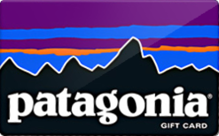 Patagonia gift card